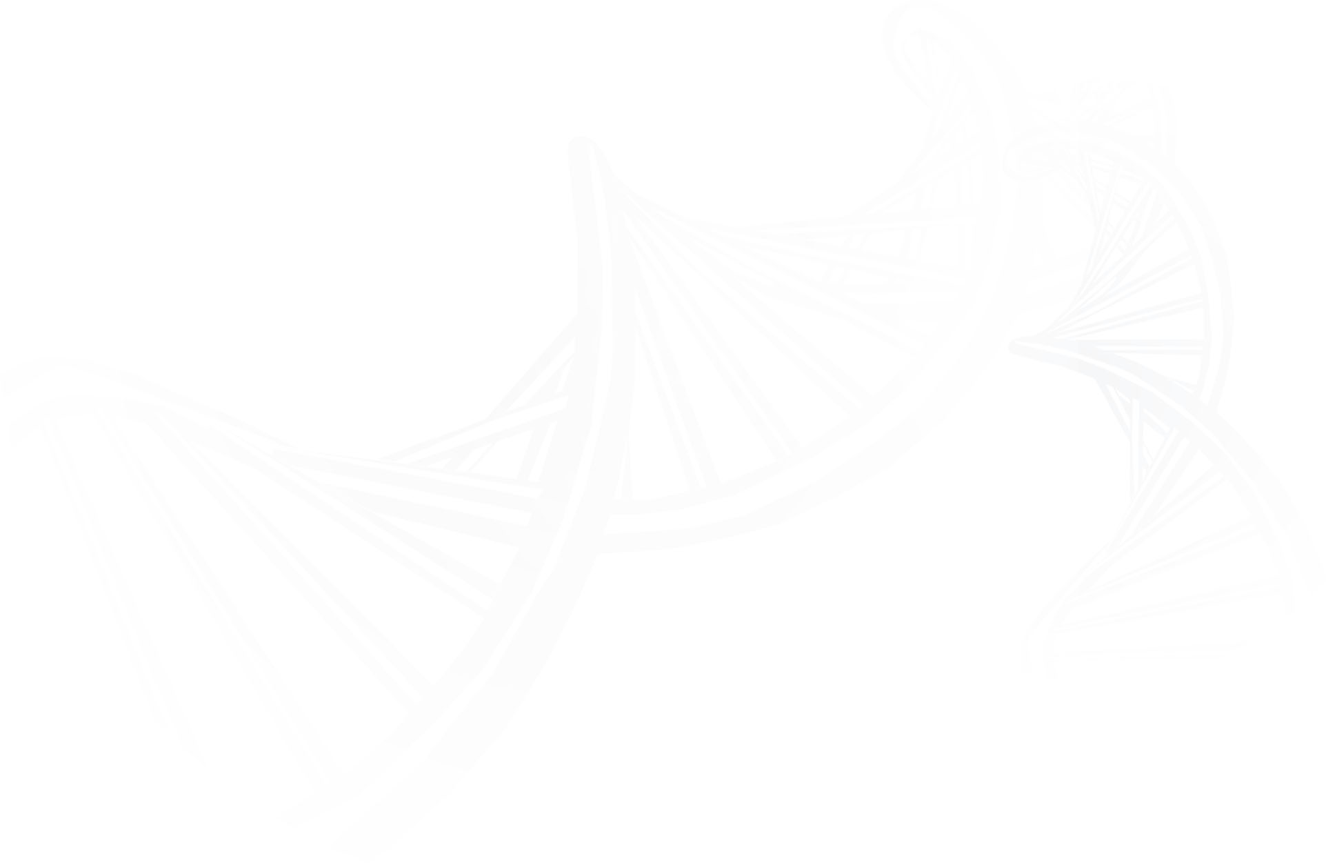 球速体育-权威的体育资讯、直播、数据一站式服务平台